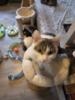 /album/262/whatsapp-image-2026-04-08-at-16-51-19-3-jpeg/